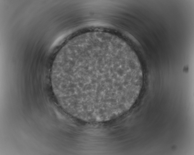 X0000115200775200911251442