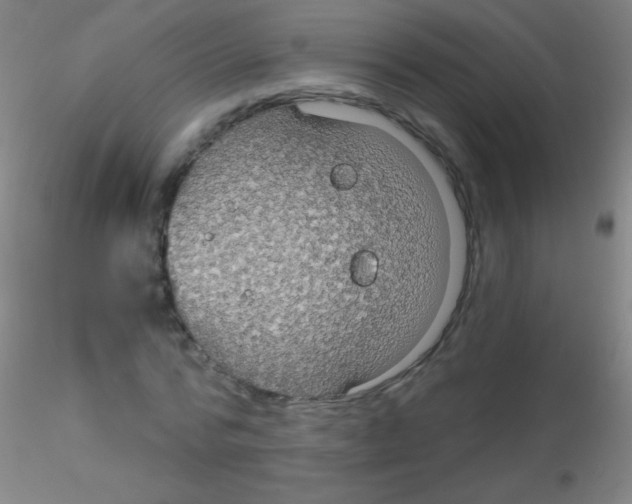 X0000115200776200911251442