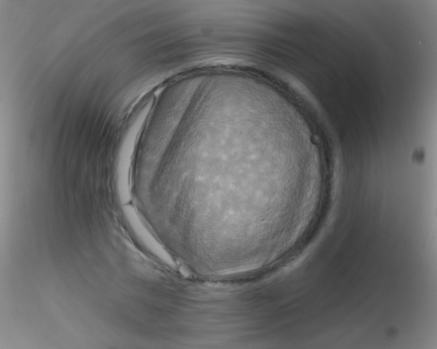 X0000115200777200911251442