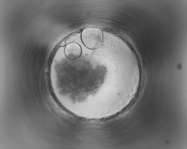 X0000115200779200911251441