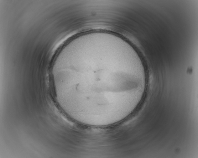 X0000115200782200911251441