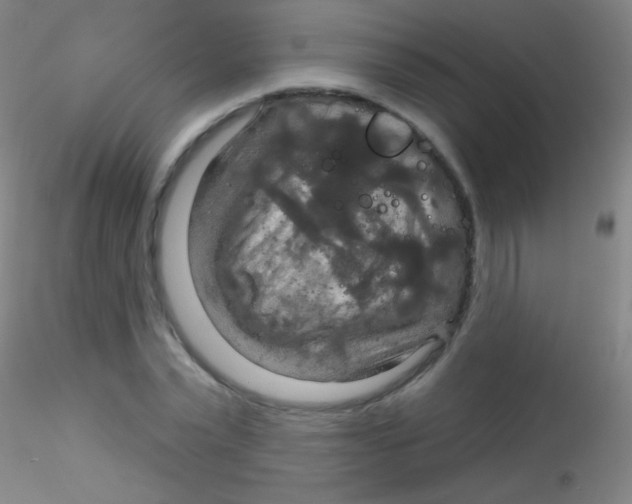 X0000115200783200911251441