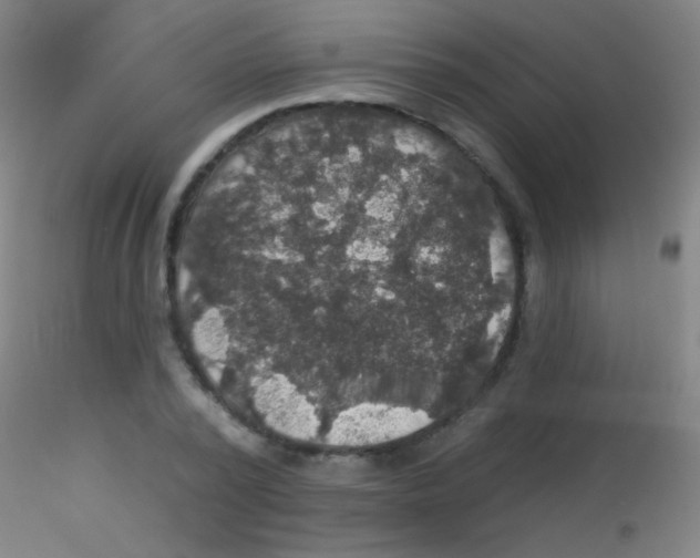 X0000115200784200911251441