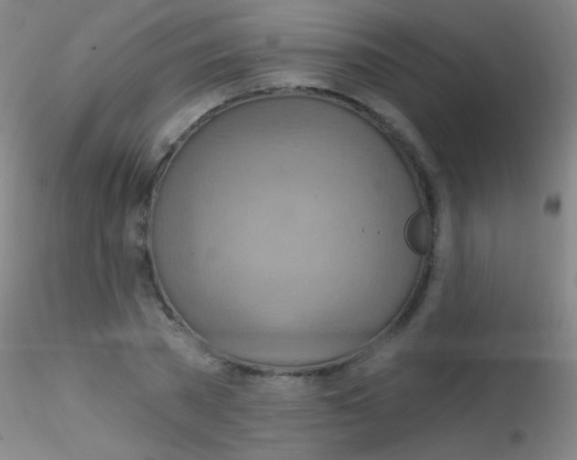X0000115200785200911251441