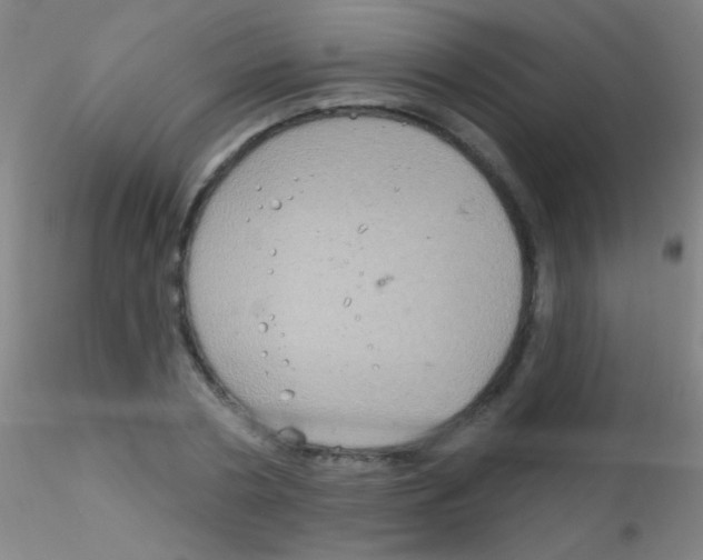 X0000115200786200911251441