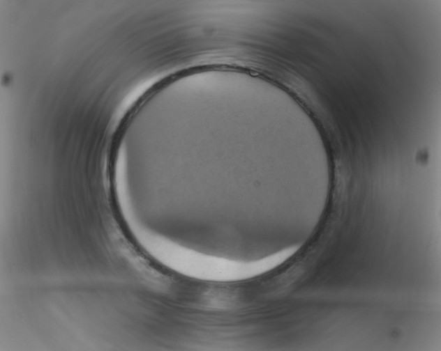 X0000115200788200911251441