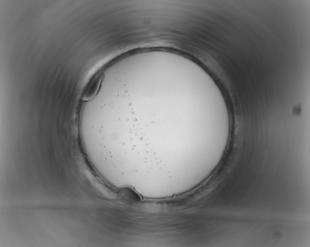X0000115200789200911251441