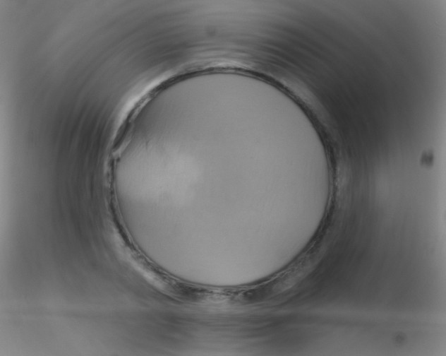 X0000115200790200911251441
