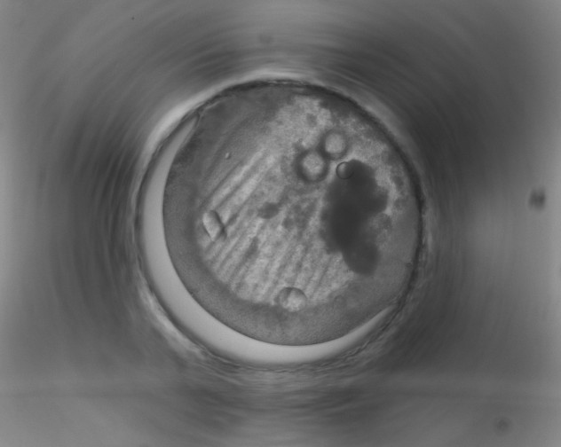 X0000115200791200911251441