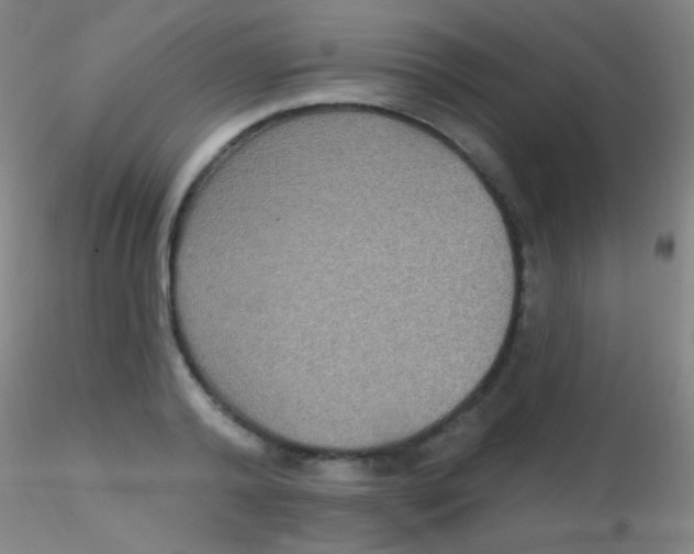 X0000115200792200911251441