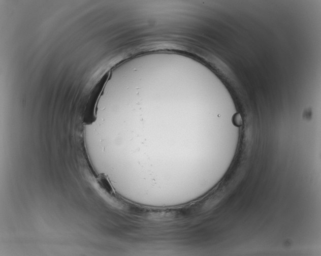 X0000115200793200911251441