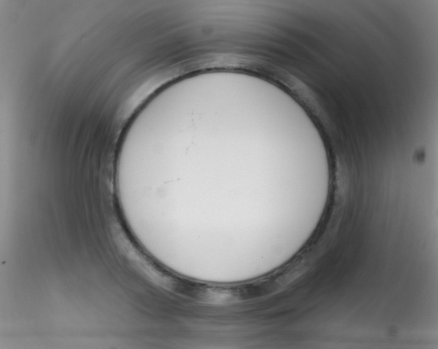X0000115200794200911251441