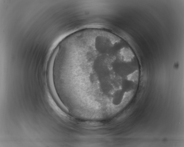 X0000115200795200911251441