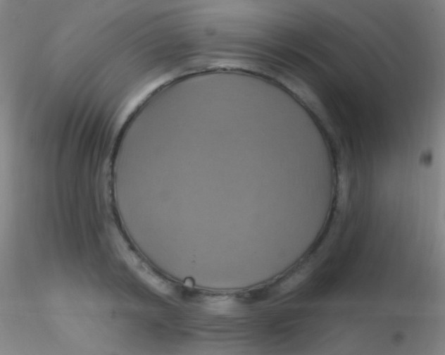 X0000115200798200911251441