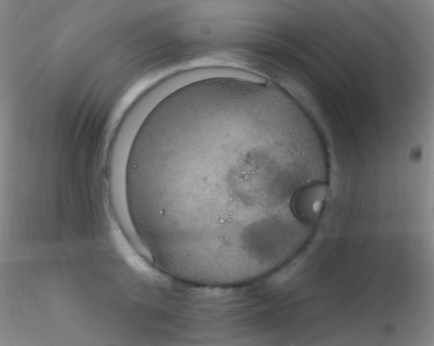 X0000115200800200911251441
