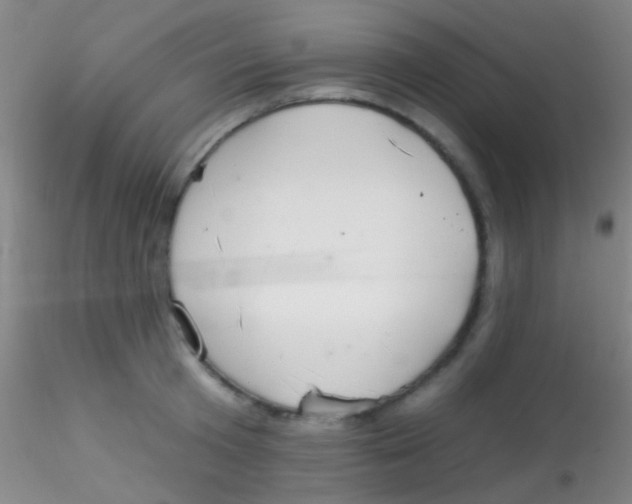 X0000115200801200911251441