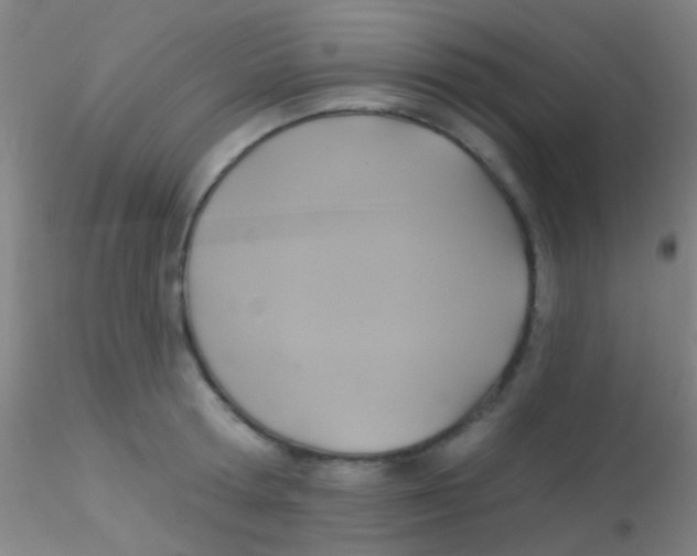 X0000115200802200911251441