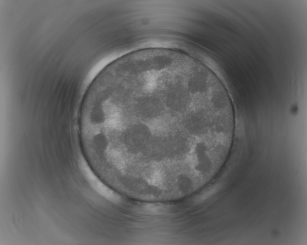 X0000115200803200911251441
