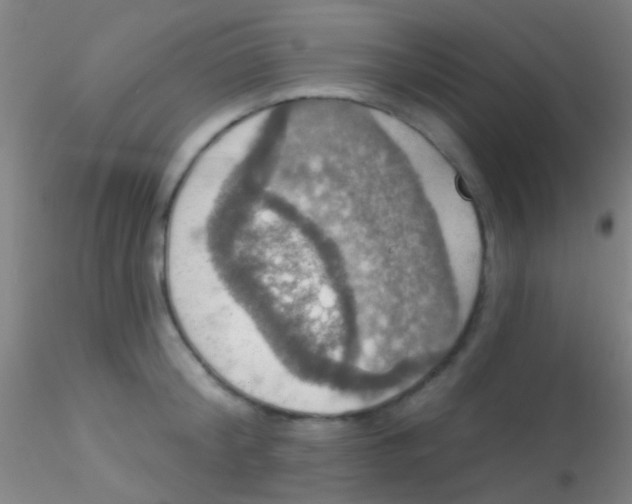 X0000115200804200911251441