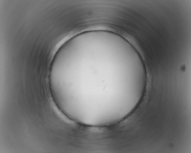 X0000115200805200911251441