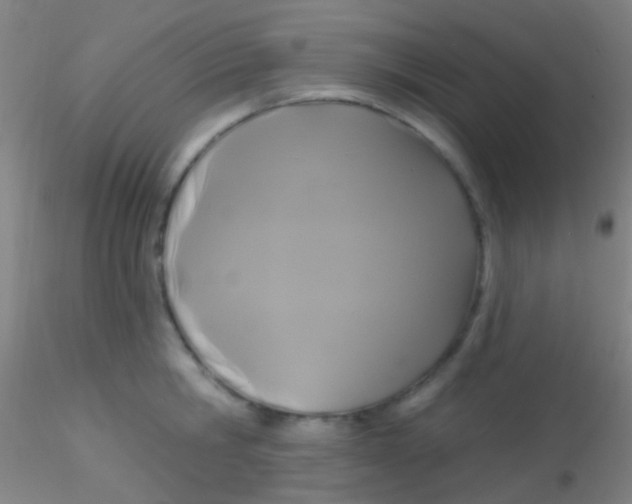 X0000115200806200911251441