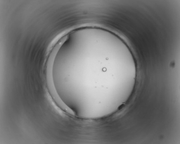 X0000115200807200911251441