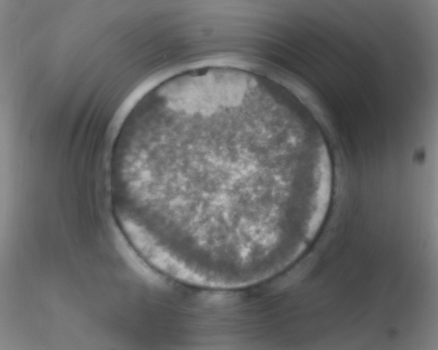 X0000115200808200911251441