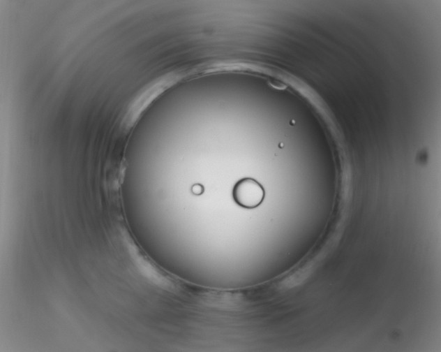 X0000115200809200911251441