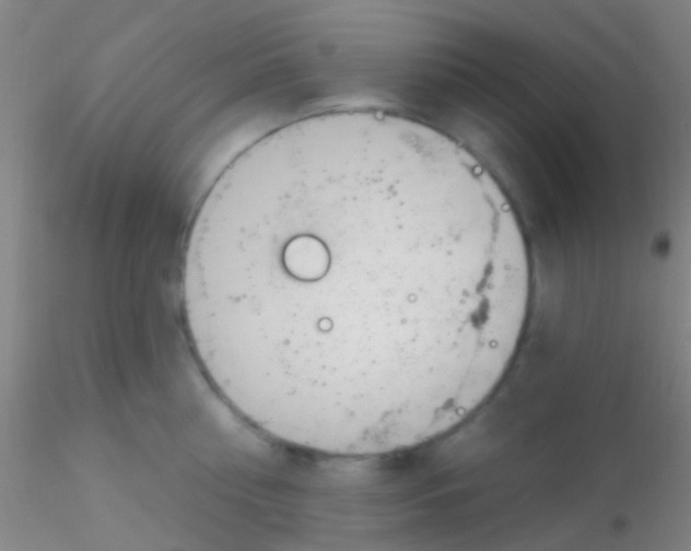 X0000115200810200911251441