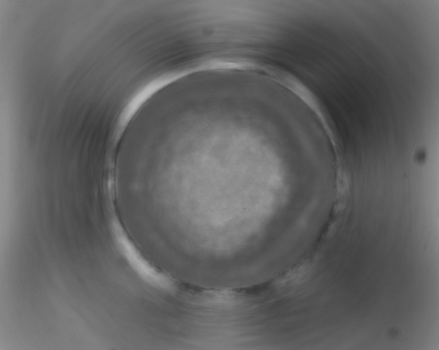 X0000115200811200911251441