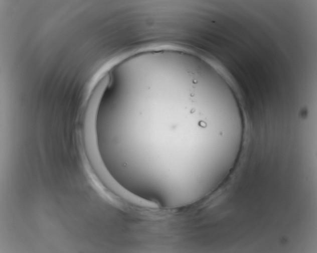 X0000115200813200911251441