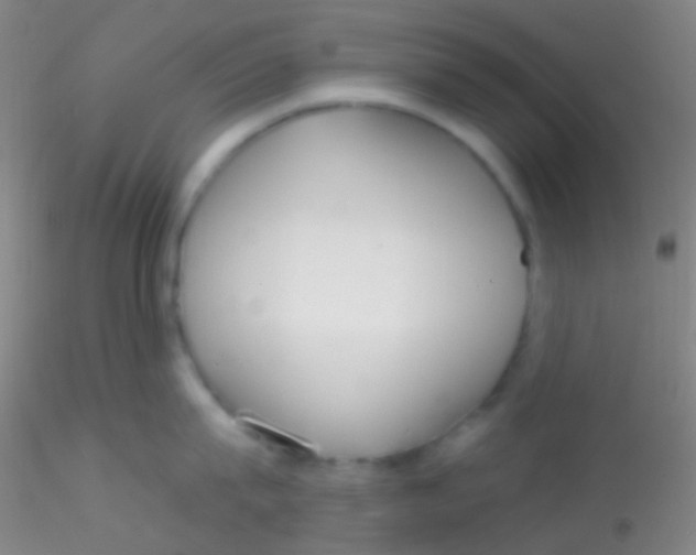 X0000115200815200911251441
