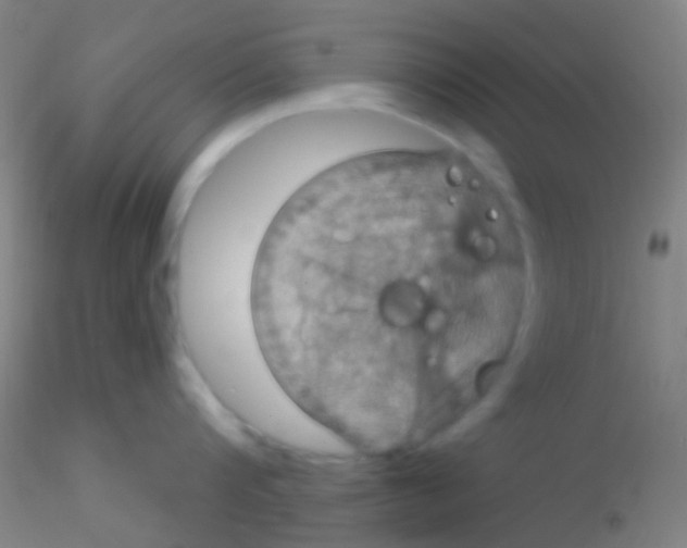 X0000115200816200911251441
