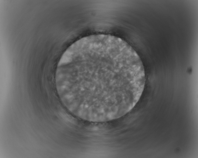 X0000115200817200911251440