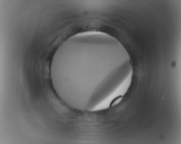 X0000115200818200911251440