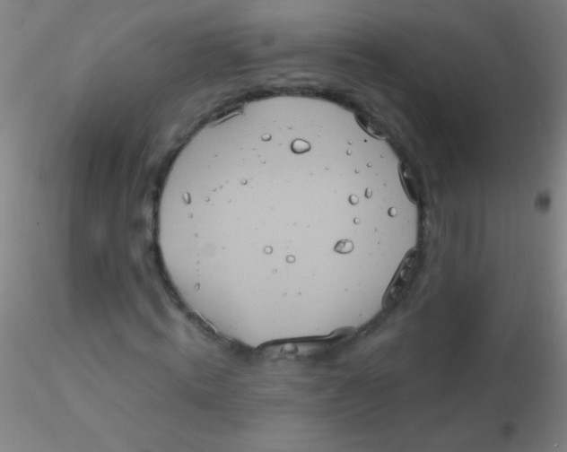 X0000115200820200911251440