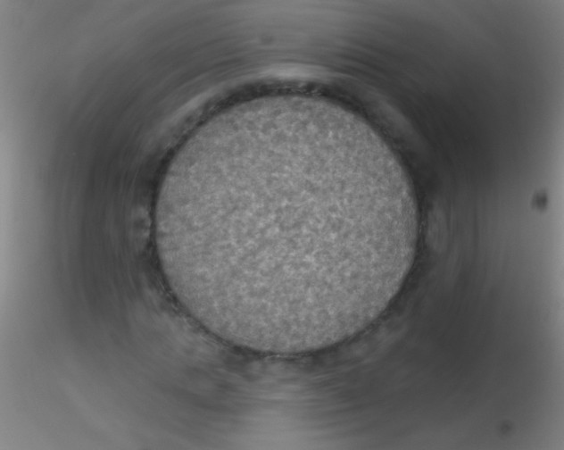 X0000115200821200911251440