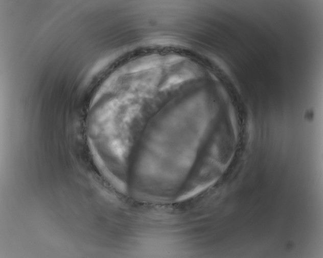 X0000115200823200911251440