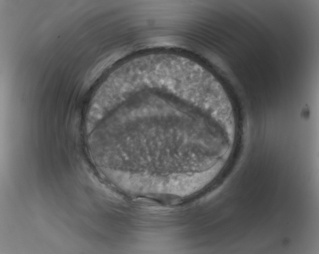 X0000115200825200911251440