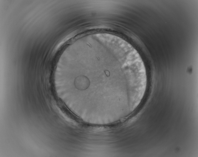 X0000115200826200911251440