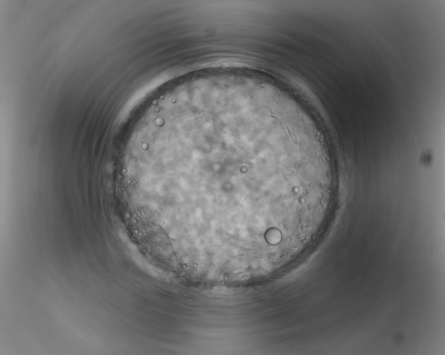 X0000115200827200911251440
