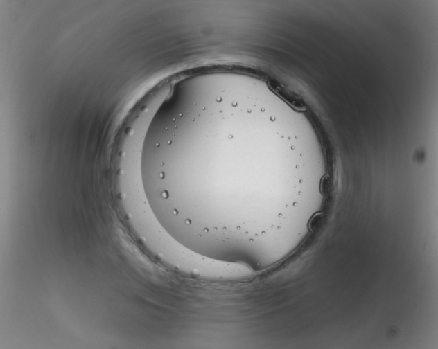 X0000115200828200911251440