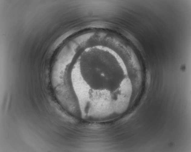 X0000115200829200911251440