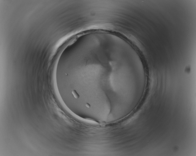 X0000115200830200911251440