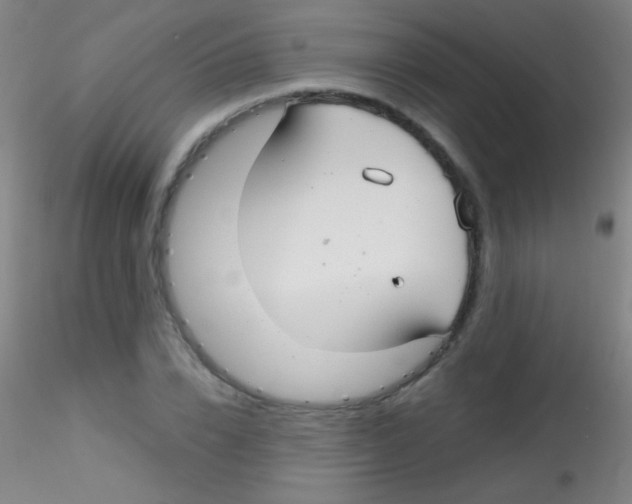 X0000115200832200911251441