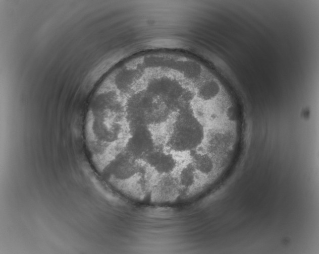 X0000115200833200911251441