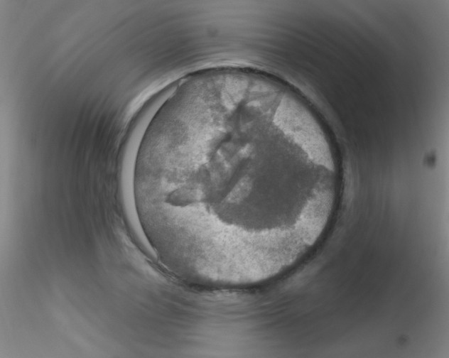 X0000115200834200911251441