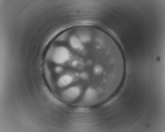 X0000115200835200911251441