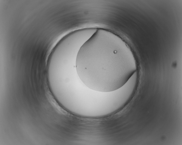 X0000115200836200911251441