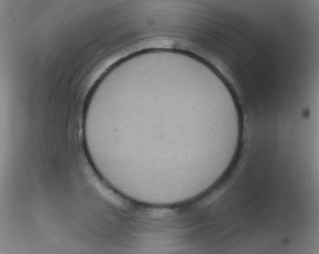 X0000115200837200911251441
